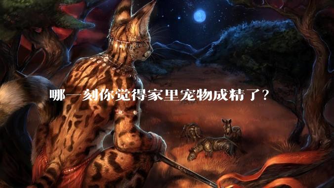 哪一刻你觉得家里宠物成精了？